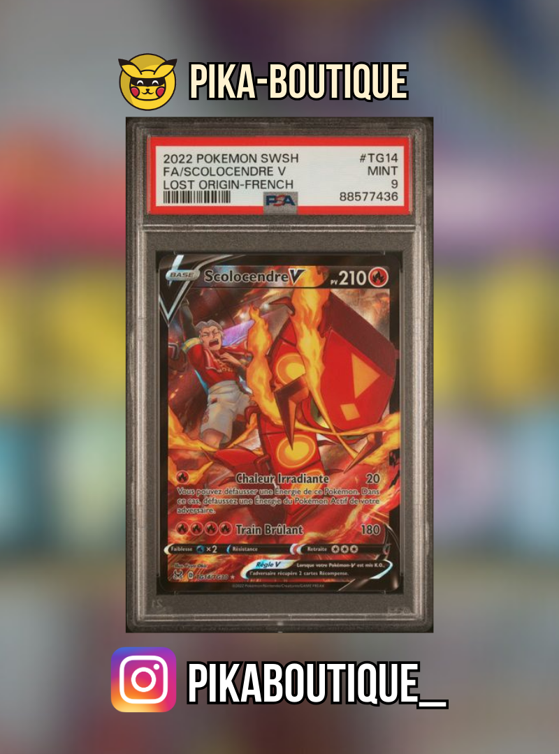 TG14 - PSA9 SCOLOCENDRE - Carte gradée -