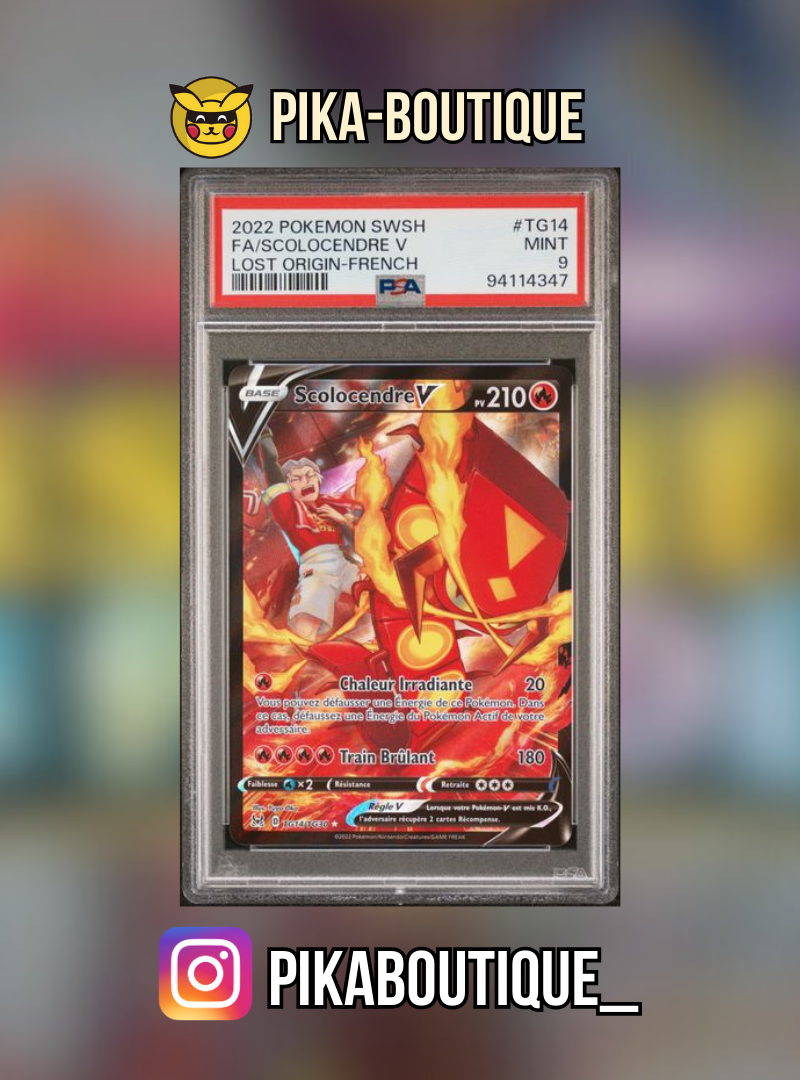 TG14 - PSA9 SCOLOCENDRE - Carte gradée -