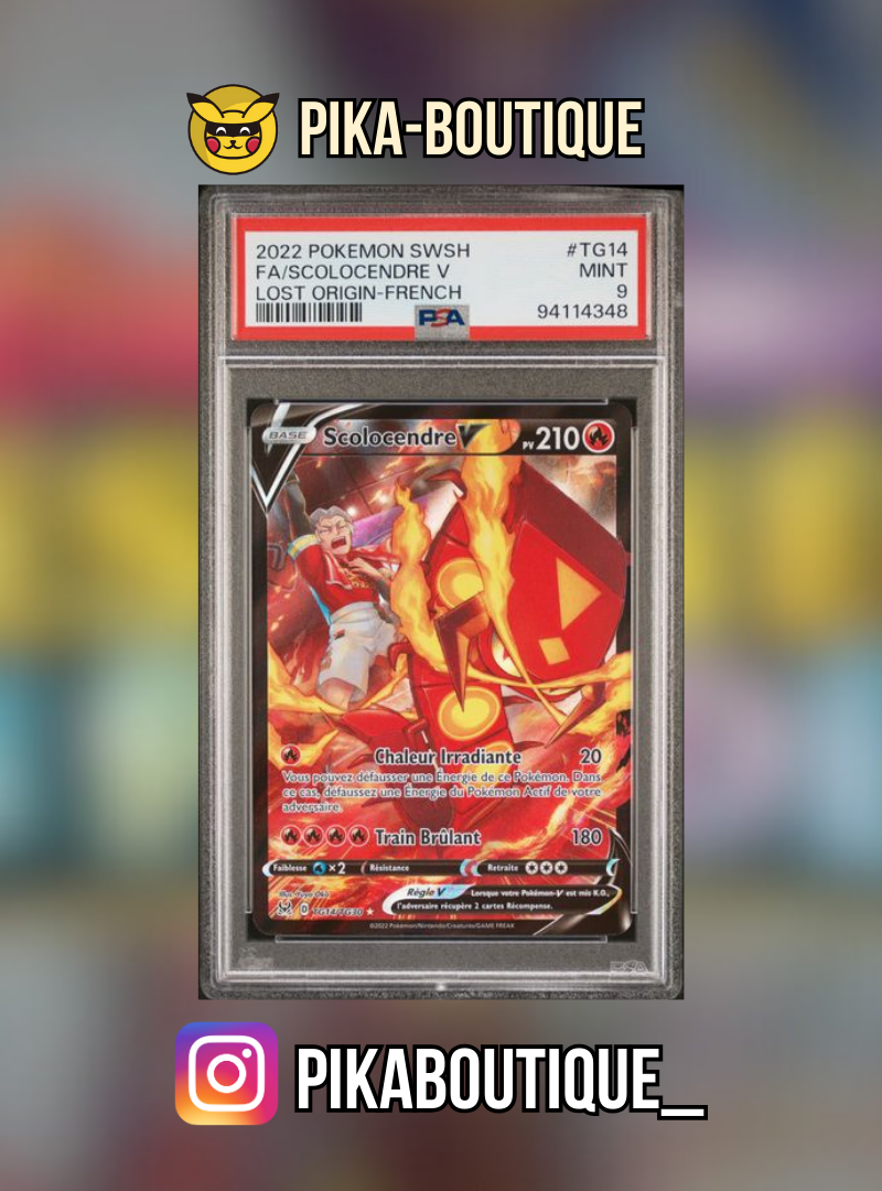 TG14 - PSA9 SCOLOCENDRE - Carte gradée -