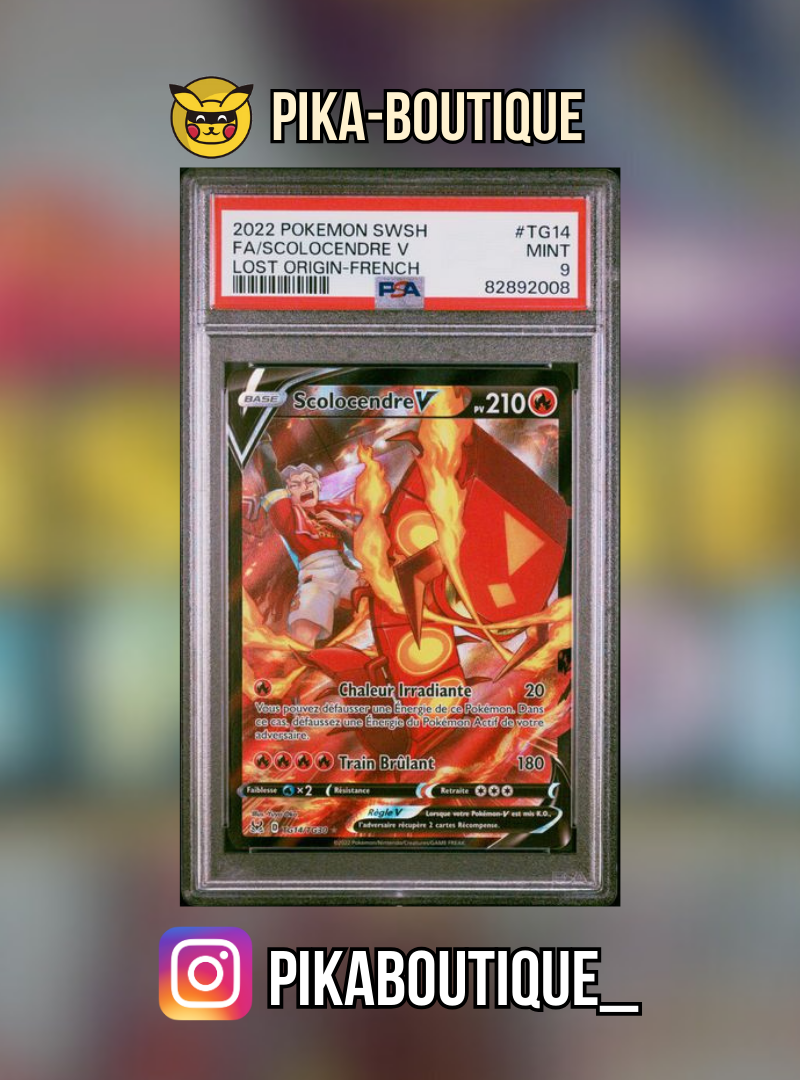 TG14 - PSA9  SCOLOCENDRE - Carte gradée -