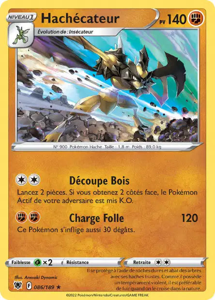 Carte unité EB10 - Holographique