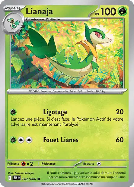 Carte unité EV10.5 - Reverse