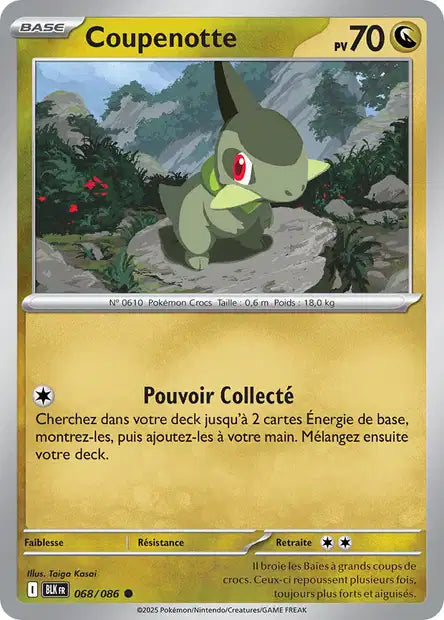 Carte unité EV10.5 - Reverse