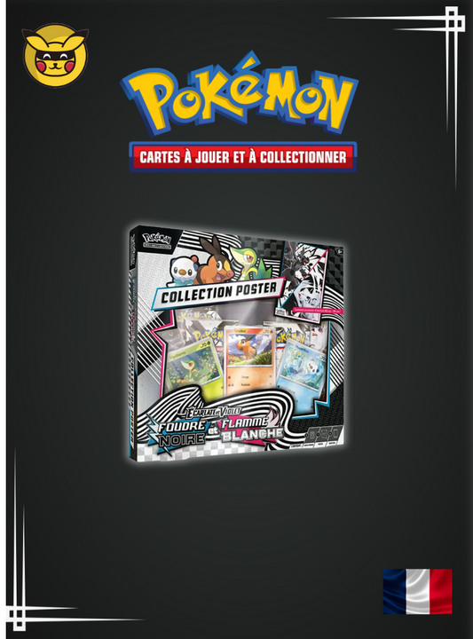 Coffret Poster Flamme Blanche et Foudre Noire - EV10.5
