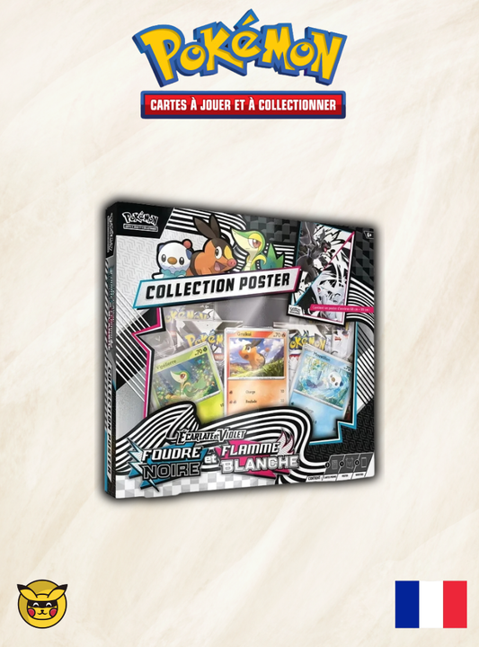 Coffret Poster Flamme Blanche et Foudre Noire - EV10.5